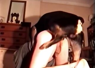 Guy with a tight butthole is going to get rammed by a black dog here