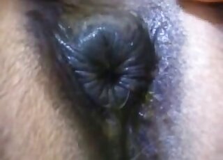 Closeup fuck movie with a guy and his cock and the horny animal