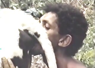 Vintage cow porn movie featuring a muscular Latin lover with a rager