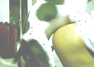 Tanned and shapely ass of a zoophile fucked from behind by a dog