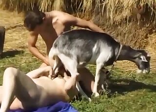 Outdoor threesome zoophilia scene with a dog that fucks brutally