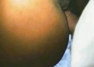 Horny mare pussy is getting fucked by a guy that wants rough sex